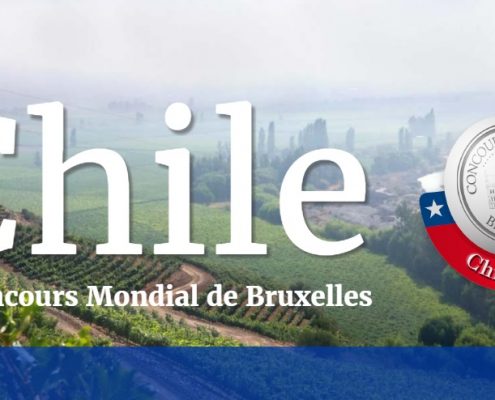 Vinhos ganhadores de medalhas no Concours Mondial de Bruxelles Chile 2017