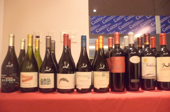 Vinhos da O primeiro evento Chilean Premium Wines – Tasting Tour que foi realizado na Adega Canto do Vinho