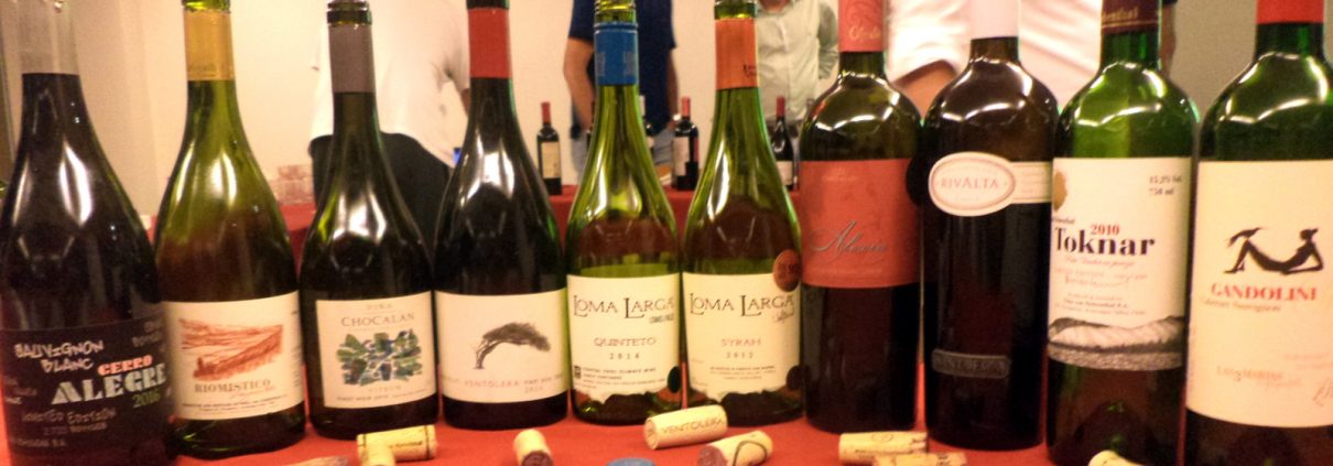 Vinhos da O primeiro evento Chilean Premium Wines – Tasting Tour que foi realizado na Adega Canto do Vinho