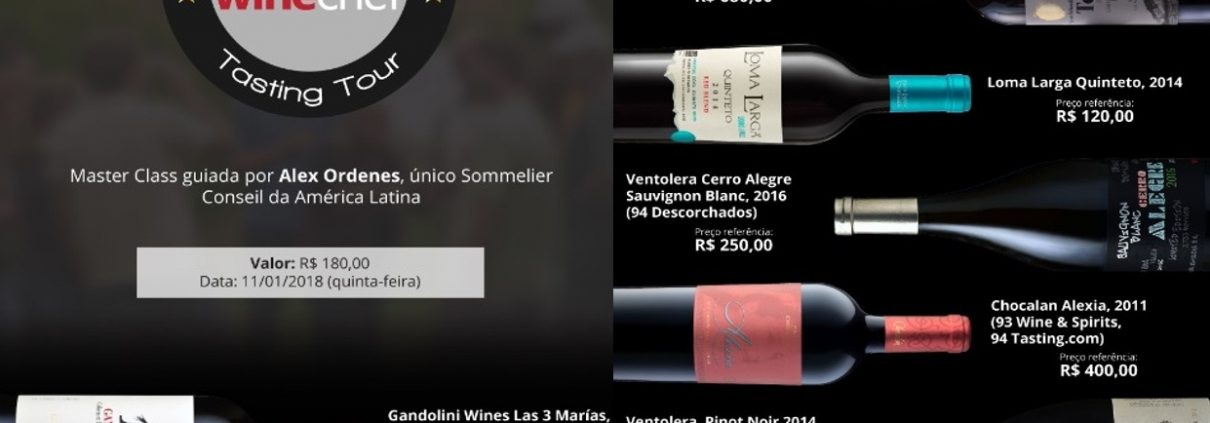 Chilean Premium Wines – Tasting Tour