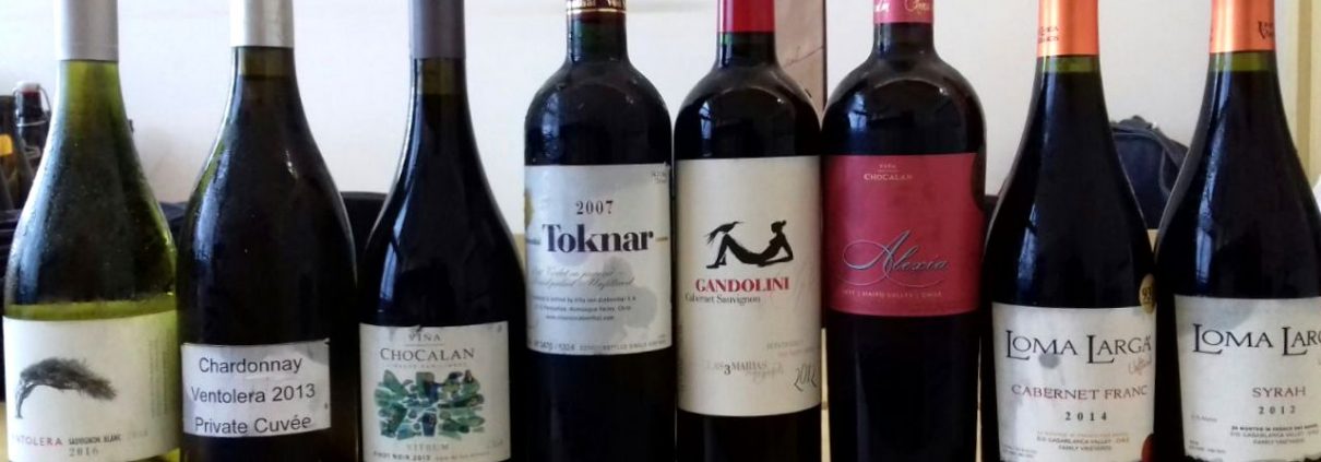 Chilean Premium Wines realiza degustação em parceria com a ABS Minas