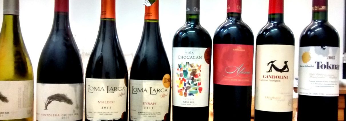 Chilean Premium Wine – Tastig Tour
