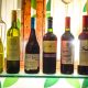 Chilean Premium Wines em parceria com a ABS realizou degustação em Juiz de Fora